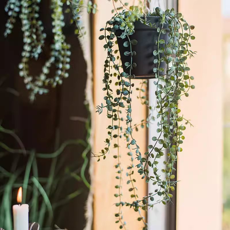 Pianta artificiale ricadente di Ceropegia in vaso