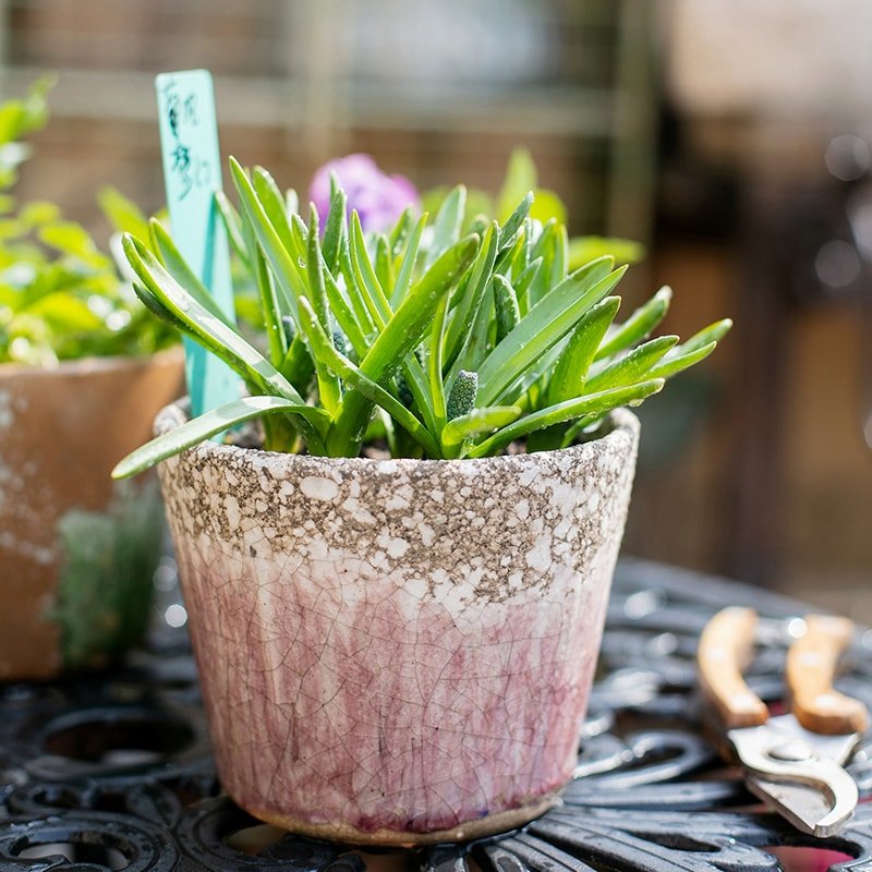 Vaso in terracotta colorato