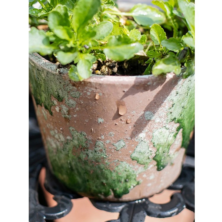 Vaso in terracotta colorato