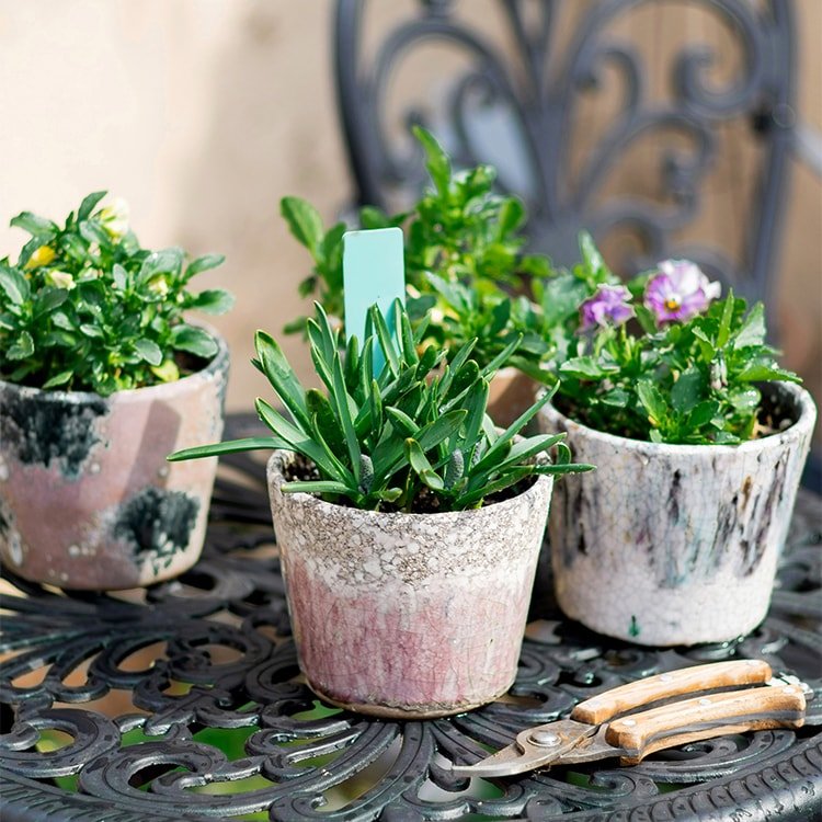 Vaso in terracotta colorato