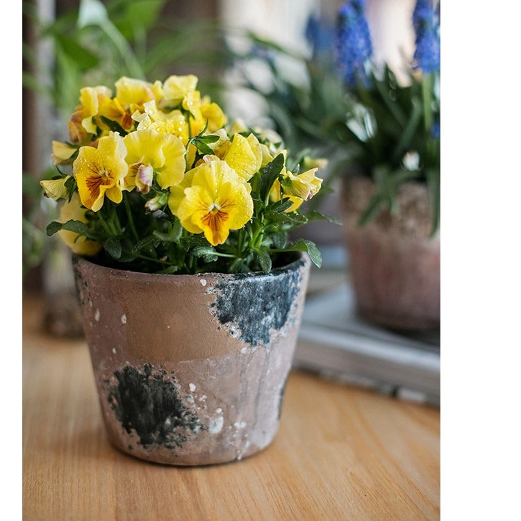 Vaso in terracotta colorato