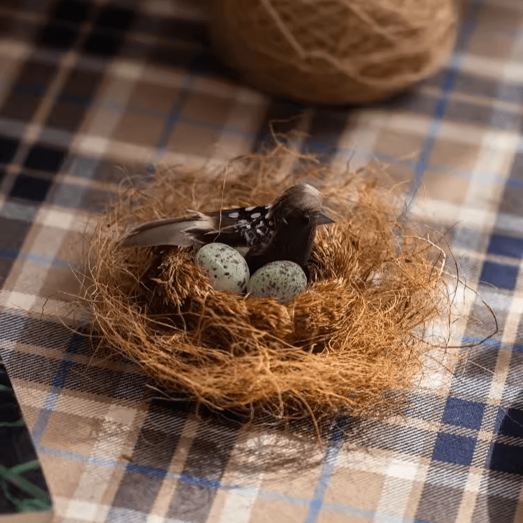 Lot de 3 matériaux de rembourrage et de décoration de surface en fibre de coco pour pots de plantes