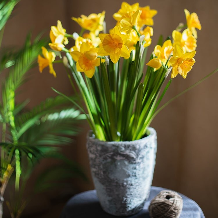 Stelo di fiore di narciso artificiale in seta gialla, altezza 19"