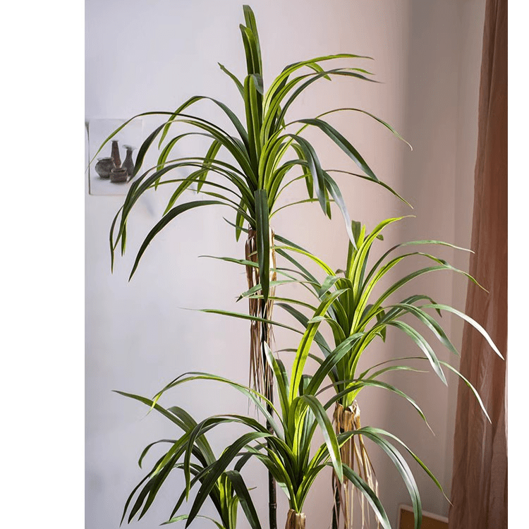Dracaena artificiale