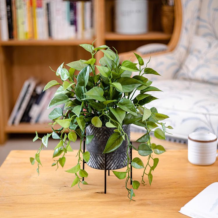 Faux Epipremnum dans un pot en métal
