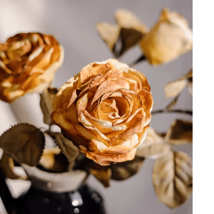 Tige de fausse rose française à l'aspect séché, 66 cm de haut