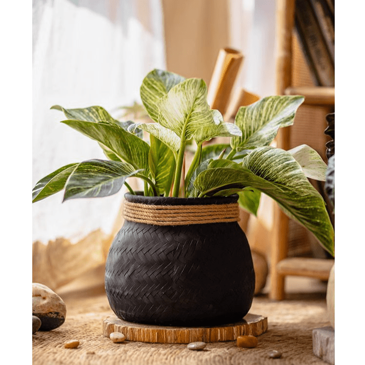Jardinière en ciment tressé imitation bambou