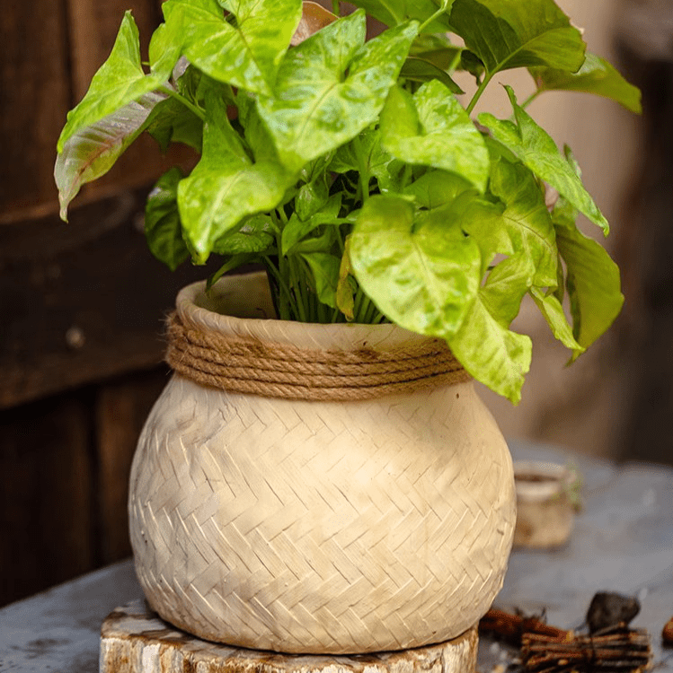 Jardinière en ciment tressé imitation bambou