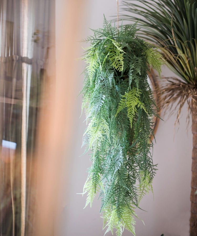 Pianta artificiale pendente di asparago setaceo