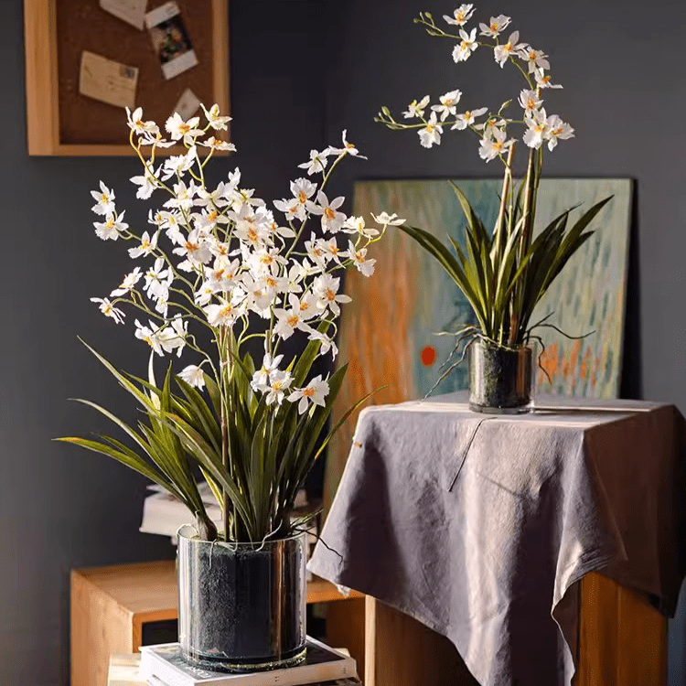 Orchidée blanche Hui Lan en pot en verre