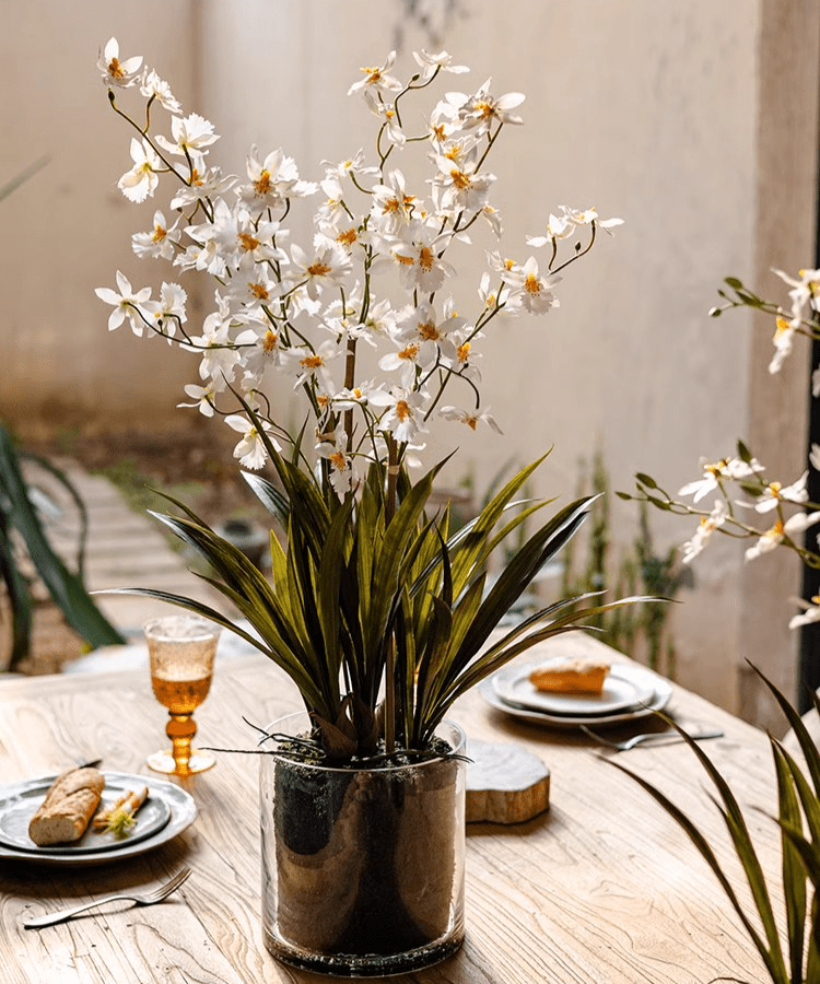 Orchidée blanche Hui Lan en pot en verre