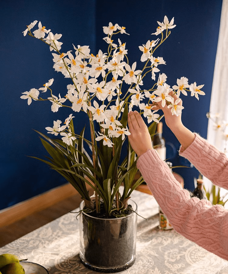 Orchidée blanche Hui Lan en pot en verre
