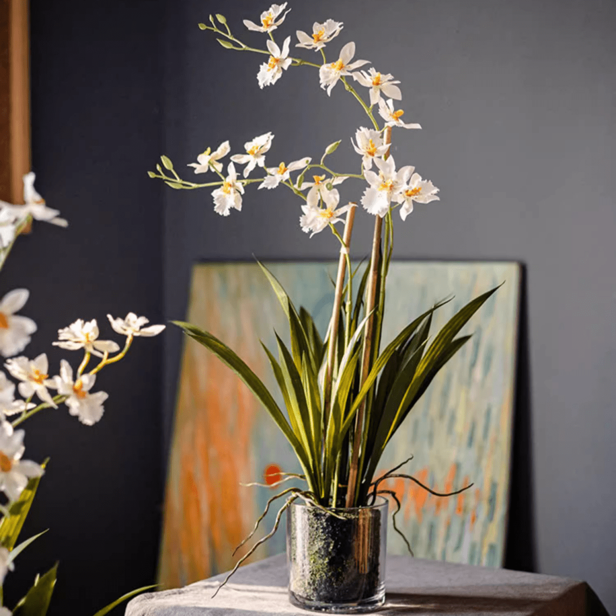 Orchidée blanche Hui Lan en pot en verre