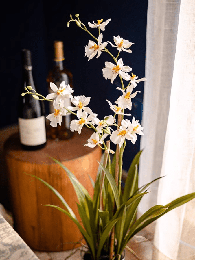Orchidée blanche Hui Lan en pot en verre