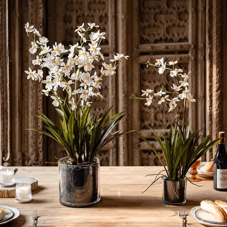 Orchidée blanche Hui Lan en pot en verre