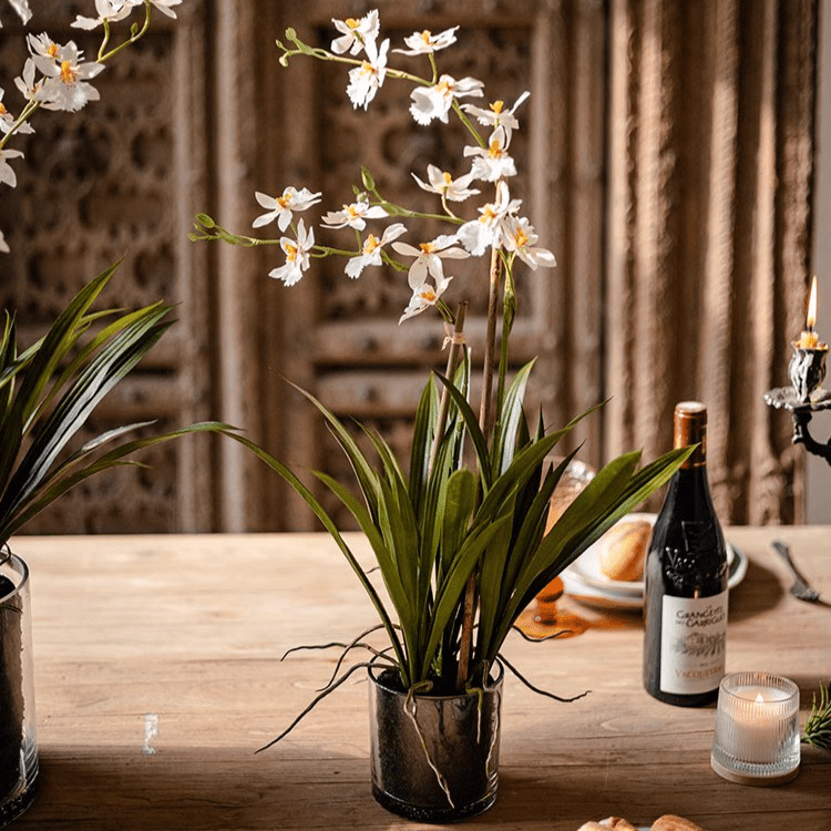 Orchidée blanche Hui Lan en pot en verre