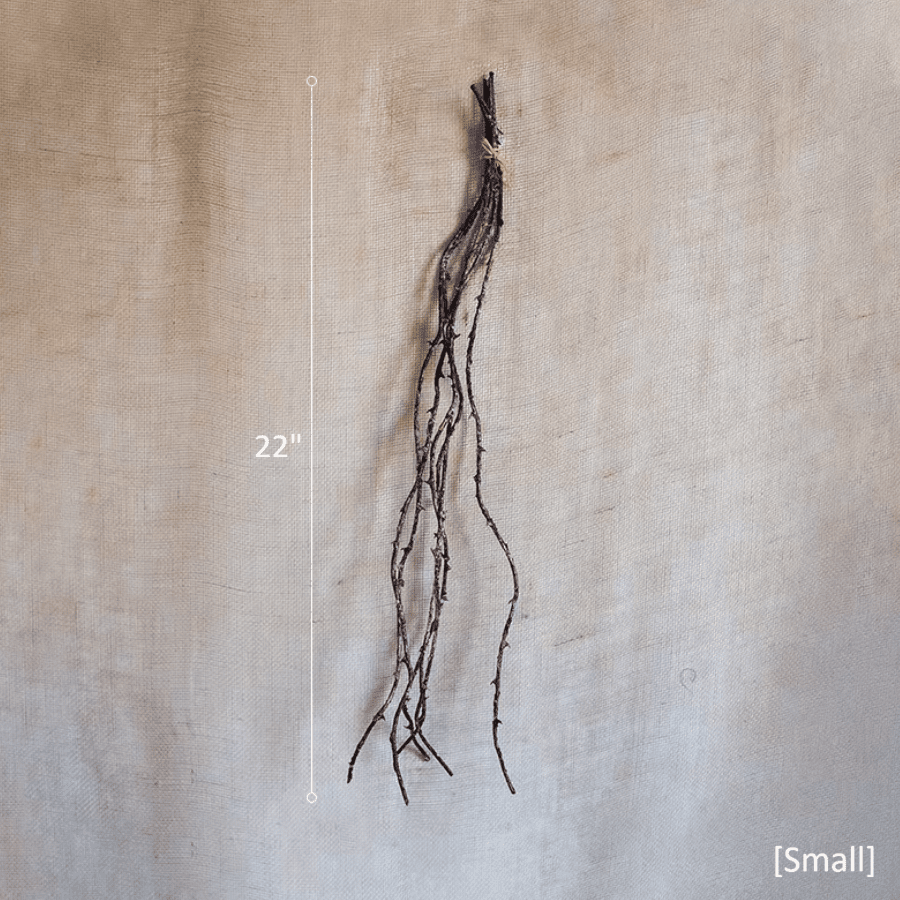 Ramo di Ikebana
