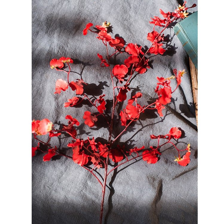 Stelo di orchidea Oncidium impressionista rosso, altezza 79 cm