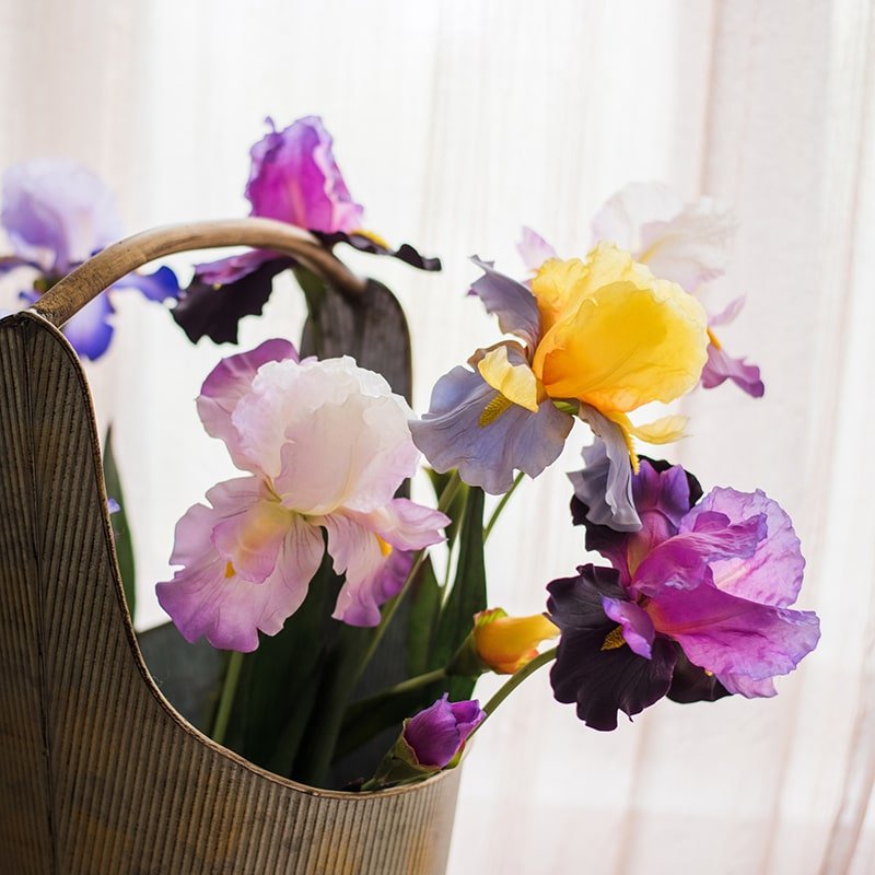 Tige de fleur d'iris artificielle, 80 cm de hauteur, soie