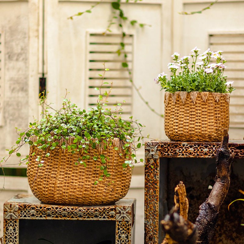 Jardinière en ciment aspect panier en paille pour femme