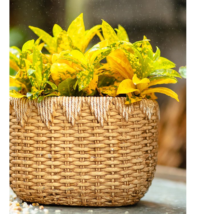 Jardinière en ciment aspect panier en paille pour femme