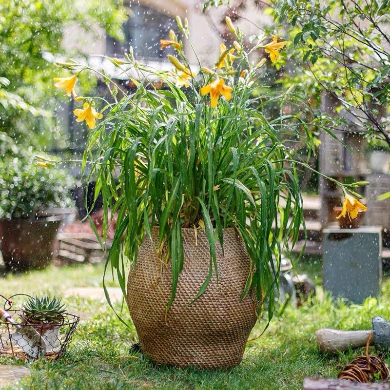 Vaso da giardino in cemento a forma di grande cesto
