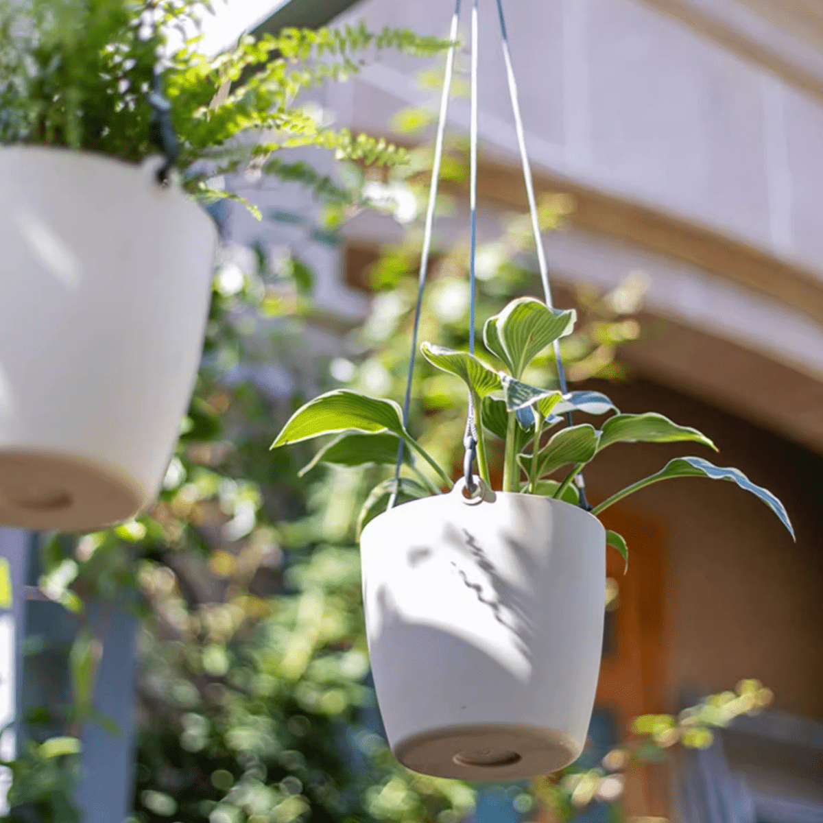 Vaso da appendere moderno in resina per piante artificiali
