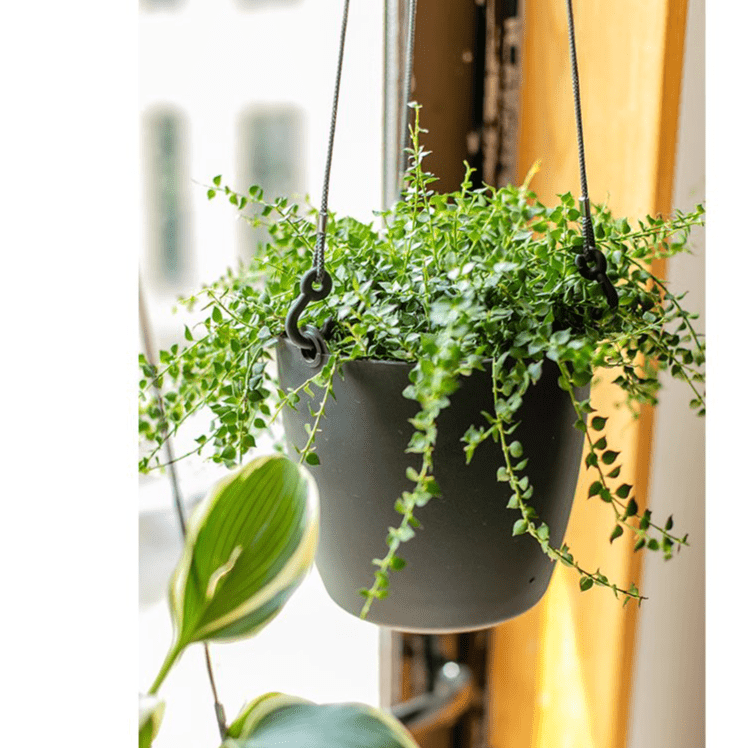 Vaso da appendere moderno in resina per piante artificiali