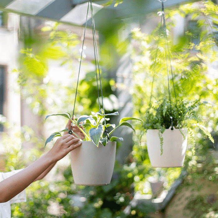Vaso da appendere moderno in resina per piante artificiali