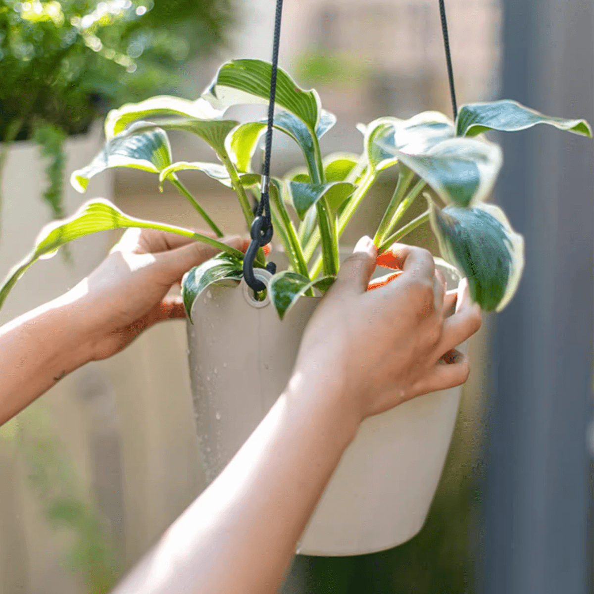 Vaso da appendere moderno in resina per piante artificiali