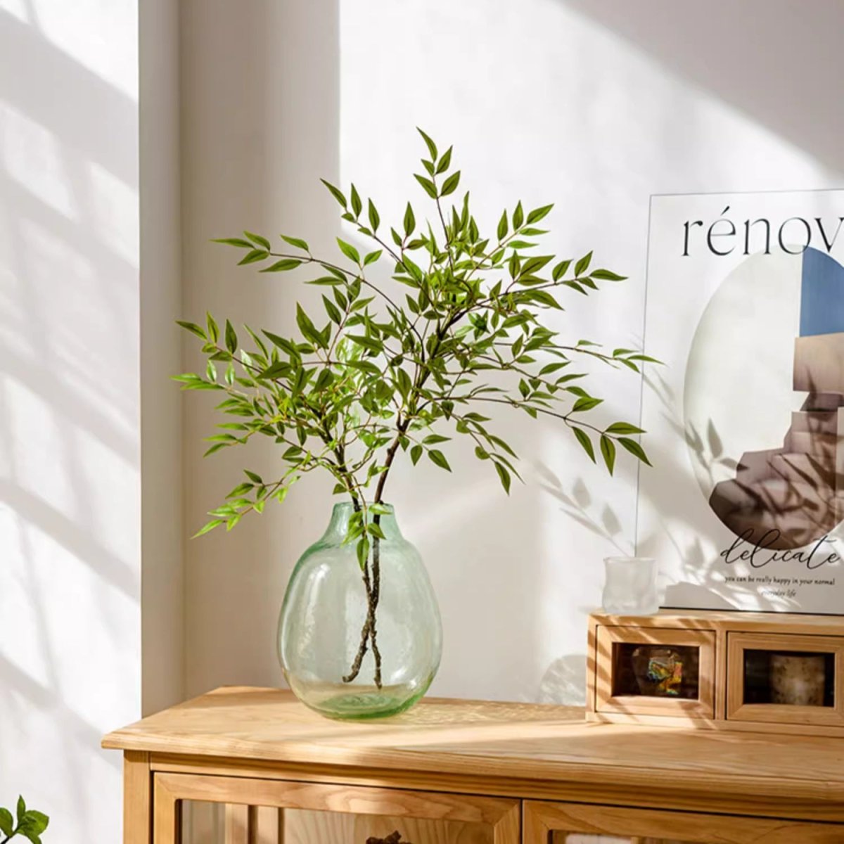 Stelo di foglie di Nandina verde