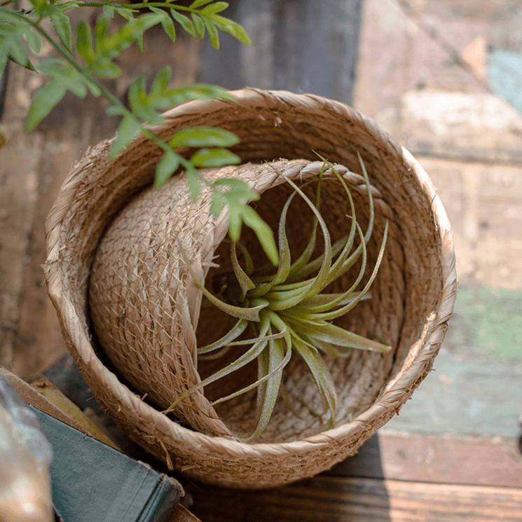 Panier à fleurs de bureau en paille naturelle