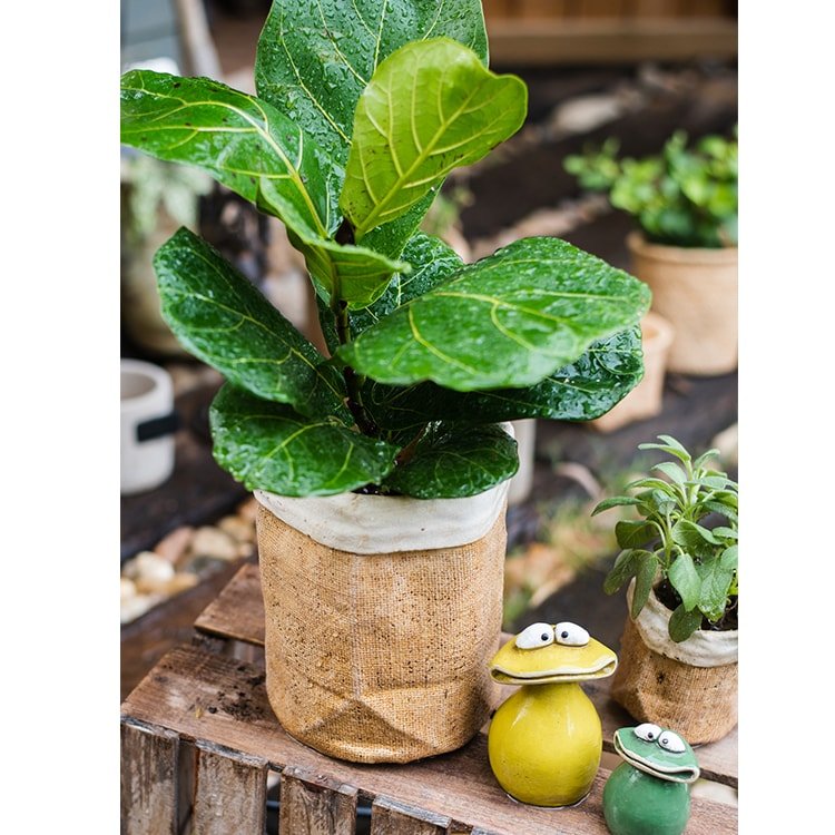 Pot de jardin en béton style sac en papier