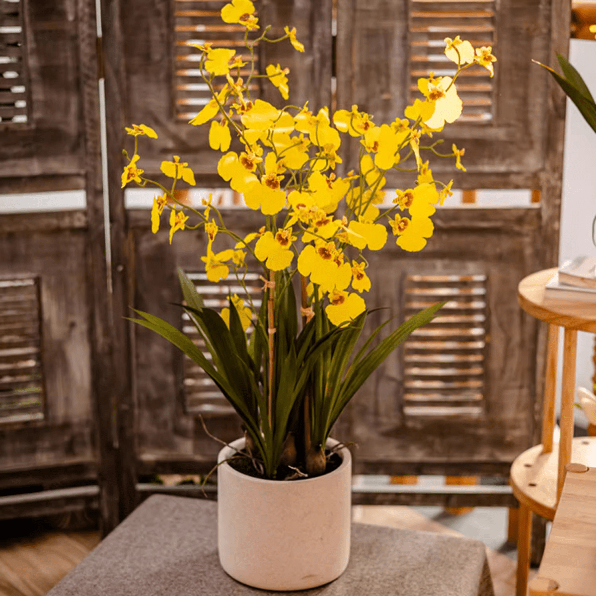 Orchidea danzante artificiale in vaso