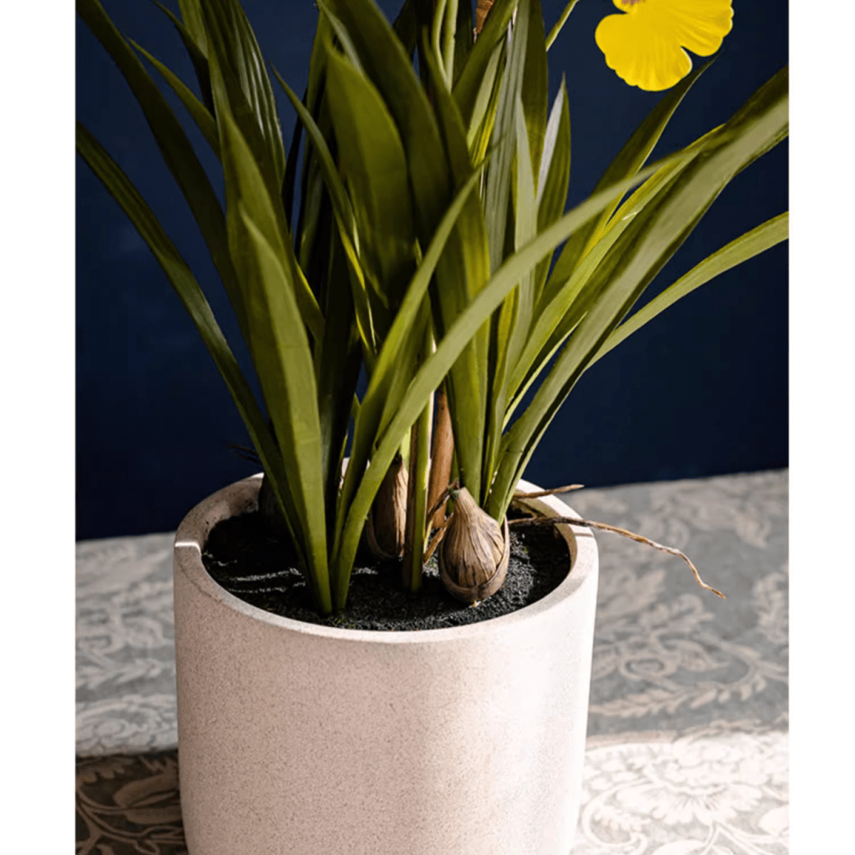 Orchidea danzante artificiale in vaso