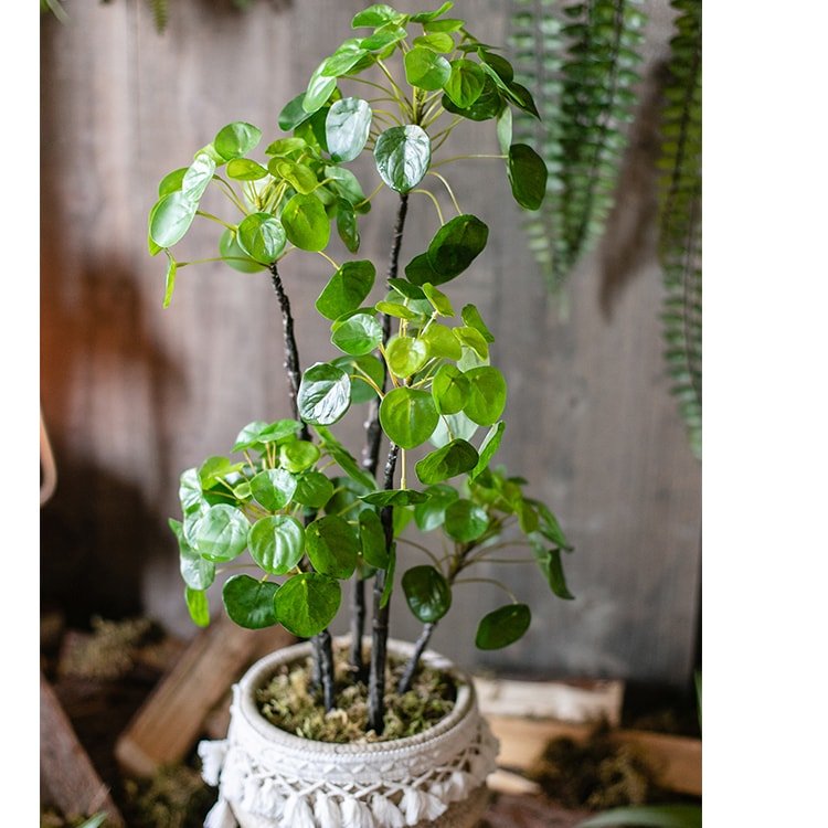 Pianta di Pilea artificiale in vaso, altezza 66 cm