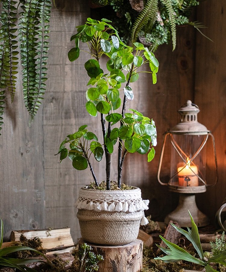 Pianta di Pilea artificiale in vaso, altezza 66 cm