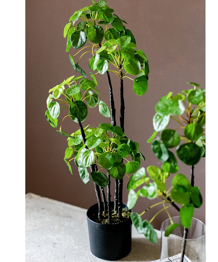 Pianta di Pilea artificiale in vaso, altezza 66 cm