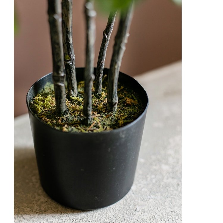 Pianta di Pilea artificiale in vaso, altezza 66 cm