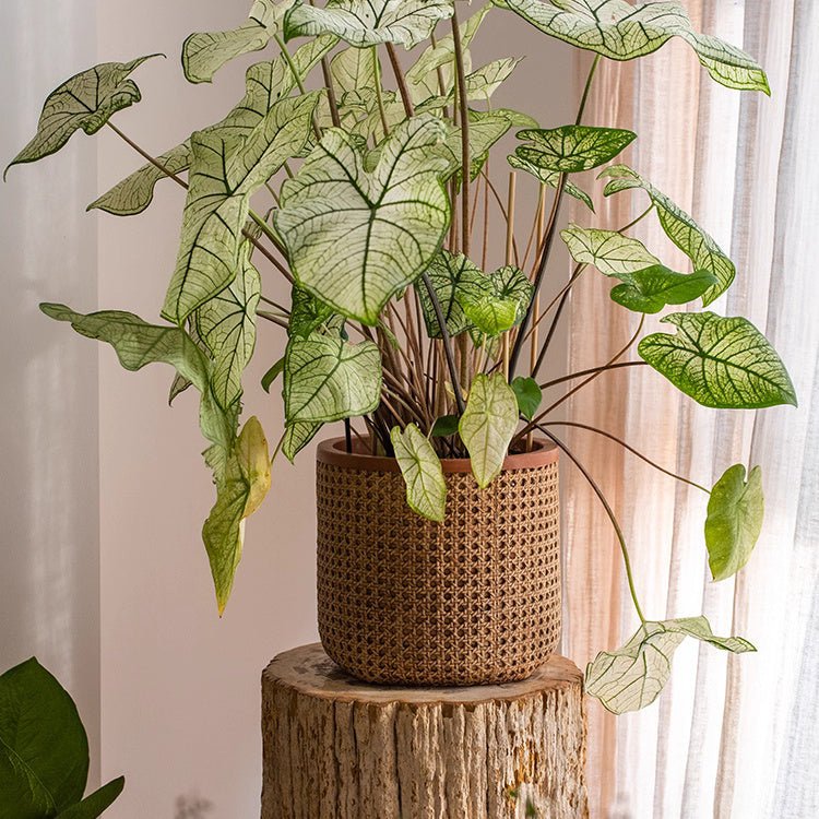 Jardinière en ciment à texture rotin