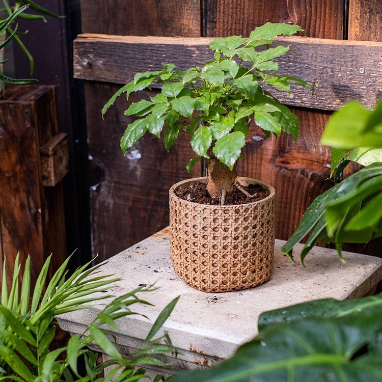 Jardinière en ciment à texture rotin