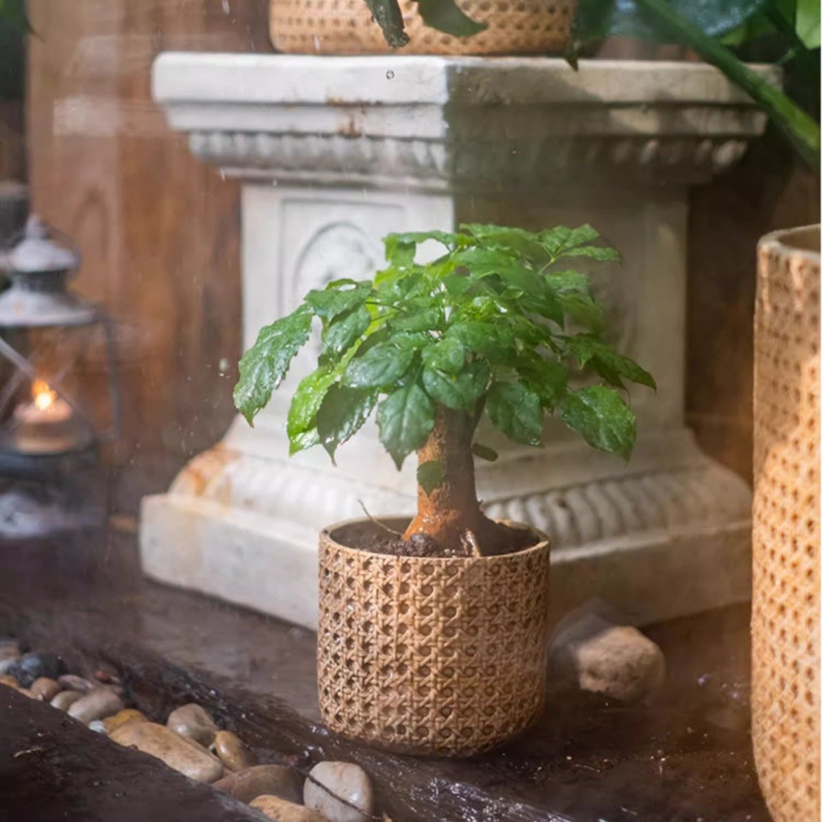 Jardinière en ciment à texture rotin