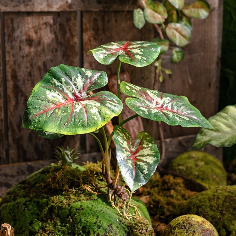 Mazzo di Alocasia artificiale con radici, altezza 48 cm