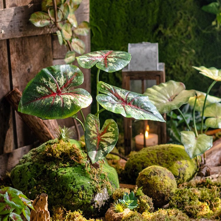 Mazzo di Alocasia artificiale con radici, altezza 48 cm