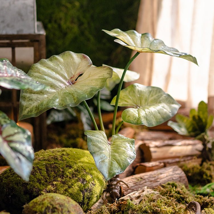 Mazzo di Alocasia artificiale con radici, altezza 48 cm