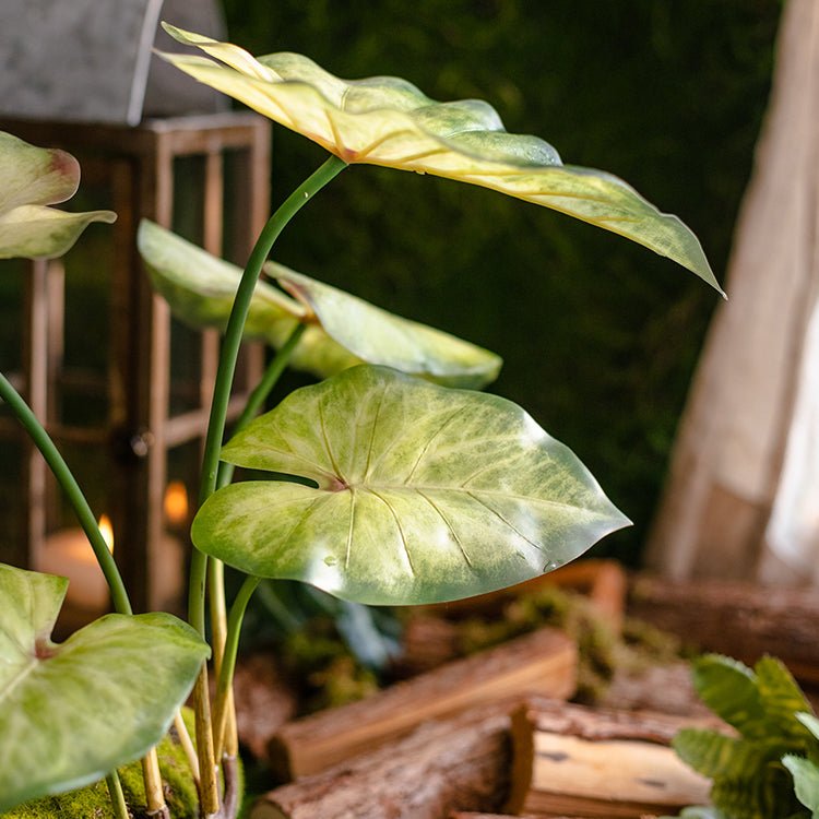 Mazzo di Alocasia artificiale con radici, altezza 48 cm