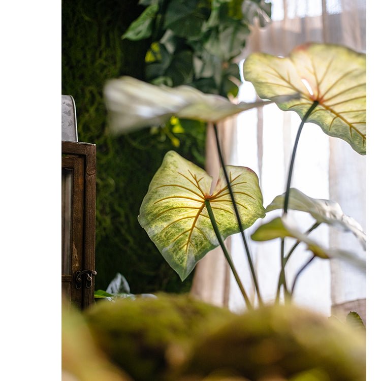 Mazzo di Alocasia artificiale con radici, altezza 48 cm