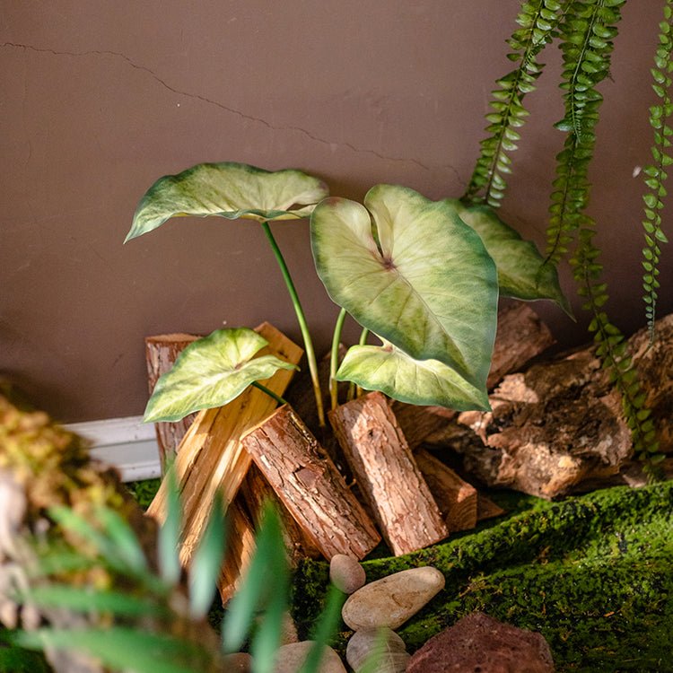 Mazzo di Alocasia artificiale con radici, altezza 48 cm