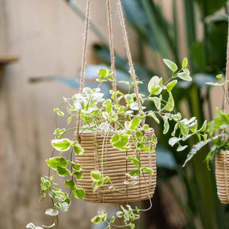 Jardinière suspendue en faux rotin et ciment