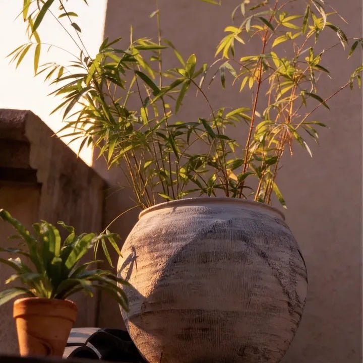 Pot de fleurs rond Sierra